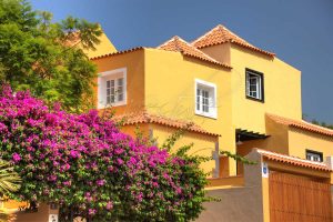 Property Investor golden visa residency Spain
